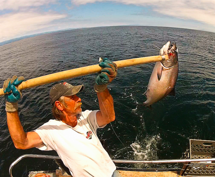Getting Hooked on Salmon—wild-caught vs. farm-raised&nbsp;salmon